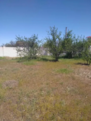 ���� ������� �.��������.12 �����,���,������ ���� 3